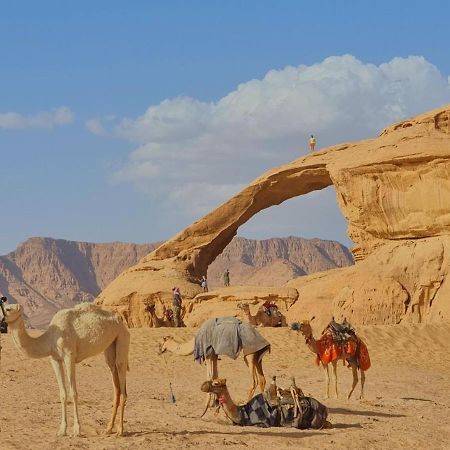 Wadi Rum Desert Camp エクステリア 写真