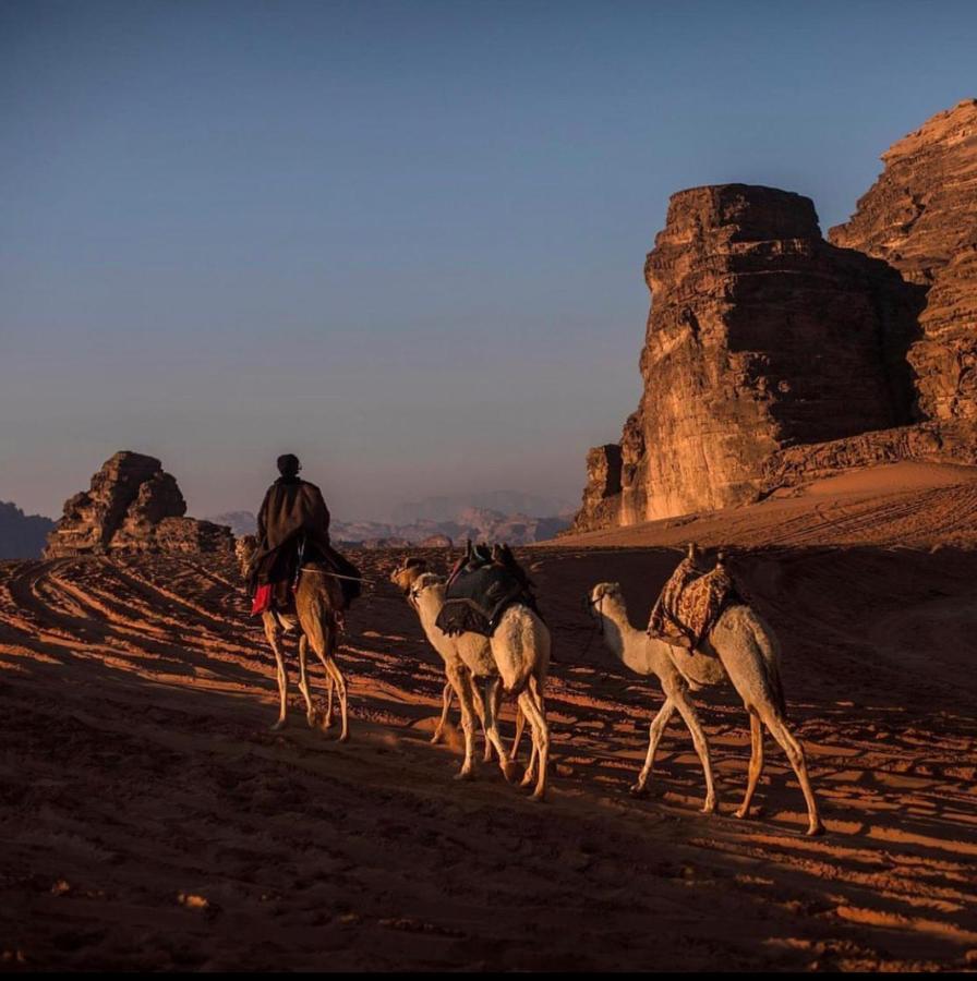 Wadi Rum Desert Camp エクステリア 写真